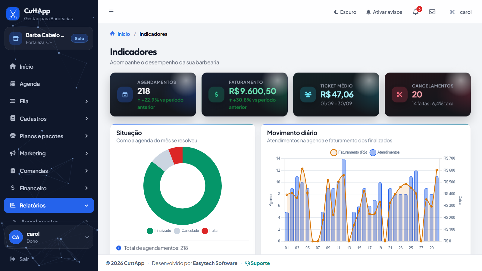 Indicadores do mês com gráfico de situação e movimento diário